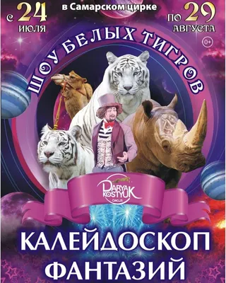 Новогодняя сказка в тропиках. В Самаре стартовало уникальное цирковое шоу |  ОБЩЕСТВО | АиФ Самара