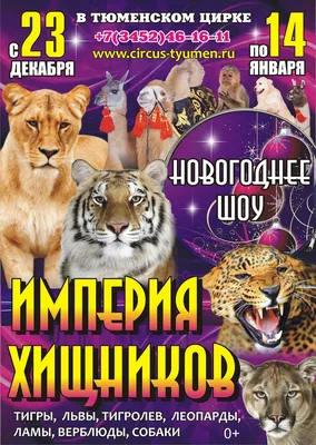 Тюменский государственный цирк, цирк, Первомайская ул., 15, Тюмень — Яндекс  Карты