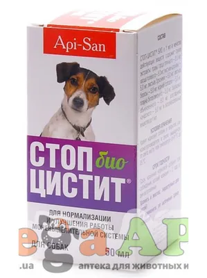 Стоп-Цистит БИО суспензия, профилактика МКБ для собак, 50мл, купить оптом в  Москве, цена, характеристики, описание - Симбио - ЗооЛэнд