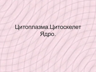 Органоиды клетки, подготовка к ЕГЭ по биологии