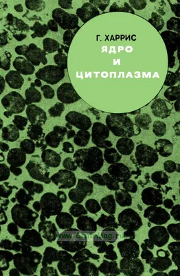 Бесплатное изображение: Plasmodium vivax, трофозоиты, большие, количество,  ameboid, цитоплазма