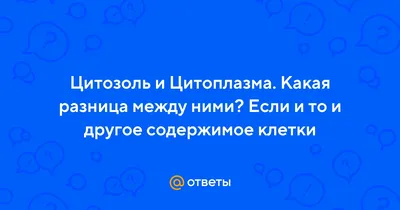 Какие функции выполняет цитоплазма? | Рутвет - найдёт ответ!