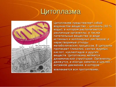 Bio 9 ponomareva 2006 by vseuchebniki - Issuu