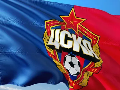 https://whccska.ru/