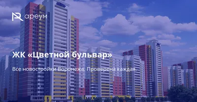 ЖК «Новое Подгорное» цены на квартиры от официального застройщика — купить  в жилом комплексе «Новое Подгорное» в Воронеже: планировки и отзывы на m2.ru