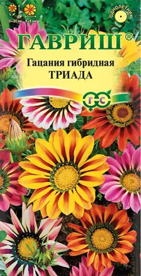 Цветы Газания (Гацания) Гибридная смесь 0,25г Поиск — купить в  интернет-магазине по низкой цене на Яндекс Маркете