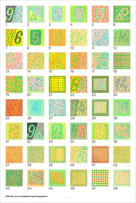 Плакат Таблица ламинир. для исследования цветоощущения: Рабкина 610x914 мм  - купить с доставкой по выгодным ценам в интернет-магазине OZON (348142340)