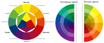 Цветовой круг Иттена: что это такое, основные цвета, комплементарные,  правила сочетания и комбинации, палитры, схемы, онлайн-сервисы