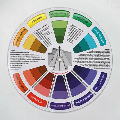 Какие цвета сочетаются? Цветовой круг для дизайнера и цветовая палитра 2024  года