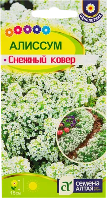 Купить Алиссум Снежный Ковер (Семена алтая) с доставкой почтой по России