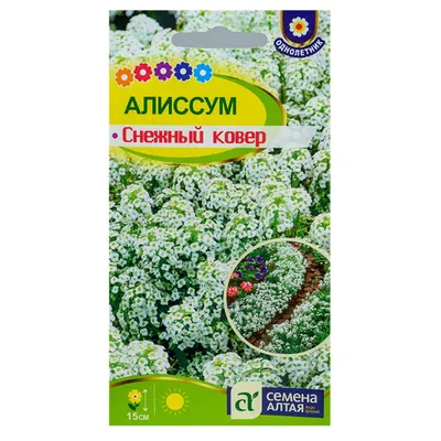 Алиссум Снежный ковер 0.3гр. Садовита - Купить по выгодной цене с доставкой  в-интернет магазине Интернет-магазин ЦВЕТОК.ШОП