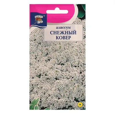 Алиссум Снежный Ковер 0.1 Г Gl Seeds — Купить на BIGL.UA ᐉ Удобная Доставка  (540849230)