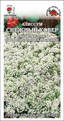 Семена СеДек Алиссум Снежный ковер 00000014816 - выгодная цена, отзывы,  характеристики, фото - купить в Москве и РФ