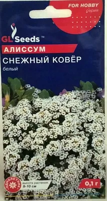 Gl Seeds. Семена Алиссум Снежный Ковер, 0.1г (ID#1319942474), цена: 6 ₴,  купить на Prom.ua