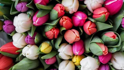 Как узнать какие цветы нравятся девушке | статьи из мира флористики на  блоге Flowwow