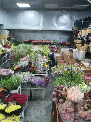 5 роз в сумочке | Бесплатная доставка центр Сочи и Адлер | Цветы НЕДОРОГО  бесплатная доставка — Сочи | Адлер · Донна Роза