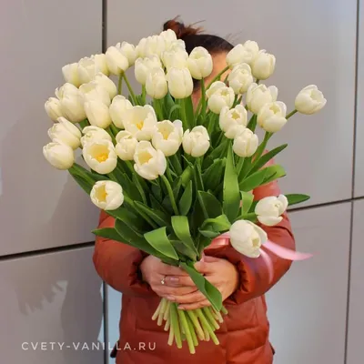 Дуо-букет белые тюльпаны, оксипеталум и стифа - купить в Москве | Flowerna