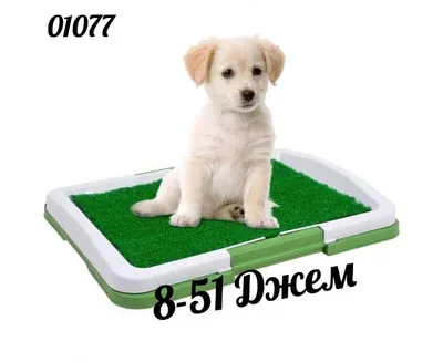 Homepet туалет для собак cо столбиком 60*40см бирюзовый перламутр купить  недорого в Нижнем Новгороде. Интернет магазин зоотоваров Зоосфера, каталог,  цена, фото, отзывы.