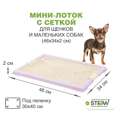 Купить туалет для собак V.I.Pet стенка, крепление под пеленки, синий,  50х38х29 см, цены в Москве на Мегамаркет | Артикул: 100023572716