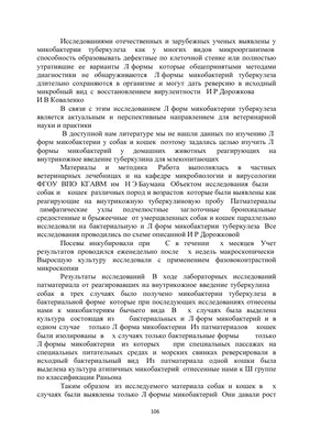 В Новороссийске активизировались догхантеры: собаку отравили лекарством от  туберкулеза | 22.02.2022 | Новороссийск - БезФормата