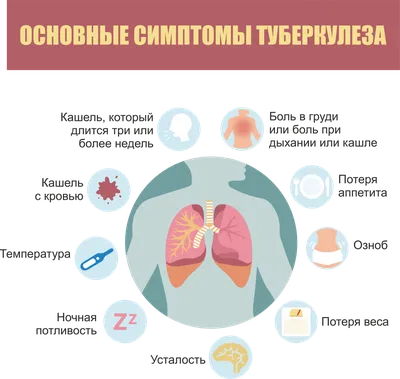 В Южной Корее официально запретили есть собак - РИА Новости Крым, 09.01.2024