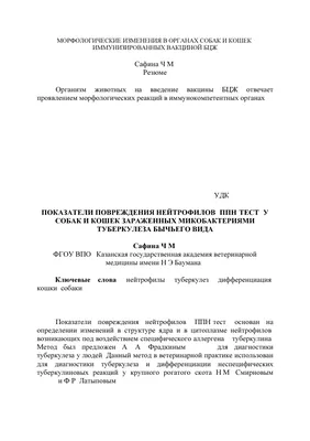 Туберкулез мелких домашних животных - социально значимая опасная инфекция