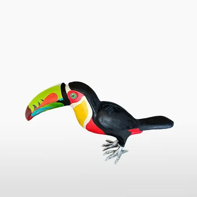 tukan žlutoprsý (Ramphastos sulfuratus) Keel-billed toucan | Petr Šimon