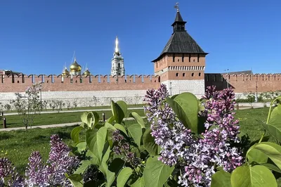 Тула, Тульский кремль, пряники и самовары. | Путешествия и развлечения |  Дзен