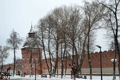 foto-tula.ru - ФотоТула. Алексей Горохов. Тула, Тульский Кремль. Площадь  Ленина. Зима, снег, 2022