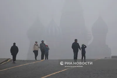 Туман в Москве сохранится местами до 14:00 – Москва 24, 02.11.2021