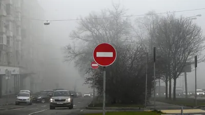 Синоптик рассказал, откуда в Москве туман и когда он исчезнет