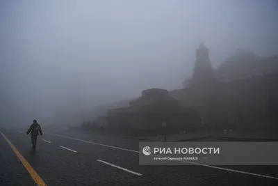 Туман в Москве | РИА Новости Медиабанк