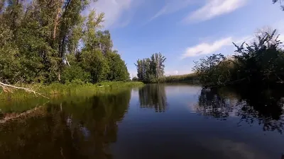 База отдыха Дубрава - Энгельс, Саратовская область, фото базы отдыха, цены,  отзывы