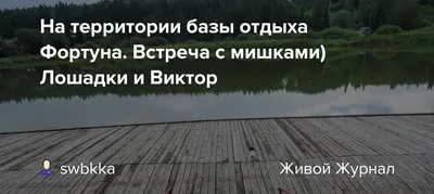 База отдыха Фортуна в Тольятти, Самарская область, цены от 1700 руб. с  услугой рыбалки | Забронировать на 101Hotels.com