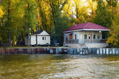 Турбаза Иволга - Сазанка, Саратовская область (Официальный сайт, фото,  отзывы)