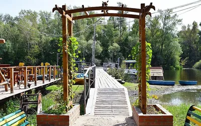 ИВОЛГА (Саратов) - отзывы, фото и сравнение цен - Tripadvisor