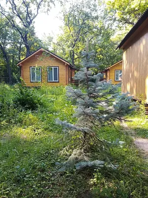 Недорогие базы отдыха в Саратовской области - базы эконом-класса, дешево,  цены 2024