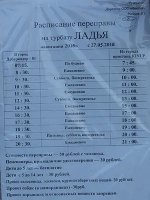 Турбазы Самарской области — отличный вариант отдыха на природе |  Туркомпания Профцентр | Дзен