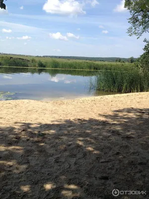 Отзыв о Турбаза \"Ласточка\" (Россия, Рыкань) | Не дорогая турбаза в  Воронежской области для самого разного отдыха!
