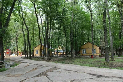 Турбаза Ласточка в Воронеже – Официальный сайт базы отдыха | Снять домик в  Новоусманском районе 2020