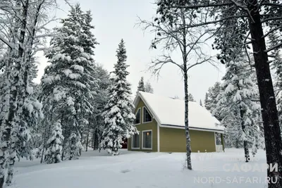 Турбаза лесная Мурманск фото фотографии