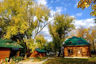 ЛУКОМОРЬЕ (Новая Усмань) - отзывы, фото и сравнение цен - Tripadvisor