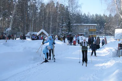 Маяк база отдыха Владивосток официальный сайт, цены, телефон, фото, номера