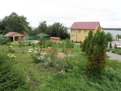 База отдыха Пчелка - Саратов, Саратовская область, фото базы отдыха, цены,  отзывы