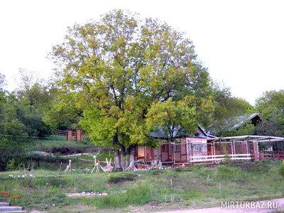 Рыболовные базы Саратовской области с бассейном, фото