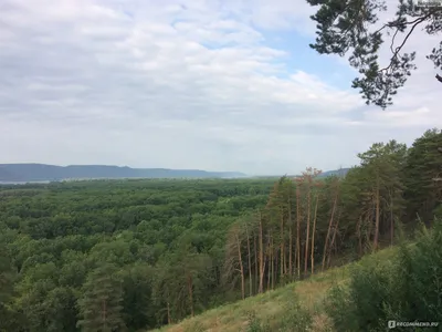 База отдыха «Радуга» Прибрежный, в Самарской области - цены 2024, фото,  отзывы