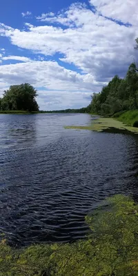 Турбаза Калинка Прибрежный снять в аренду на сутки в Самаре, аренда домов  посуточно — O`zon