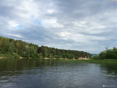 База отдыха \"Сосенки на Волге\", Самара - «Офигенно место на турбазе.  Отдохнуть и прогуляться по лесу. И все это турбаза ' Сосенки на волге'.» |  отзывы