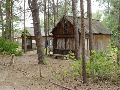 Турбаза Сосенки на Волге - Прибрежный, Самарская область, фото турбазы,  цены, отзывы