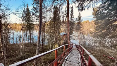 Теремок, база отдыха, Автодорога Лотта 27 километр, 3, Кольский район — 2ГИС